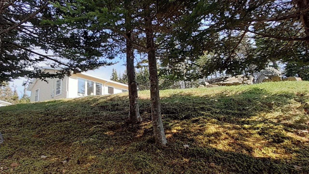 Photo of Outdoor in Terra Nova