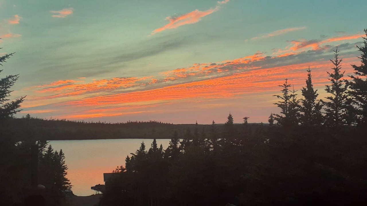 Photo of Others in Terra Nova
