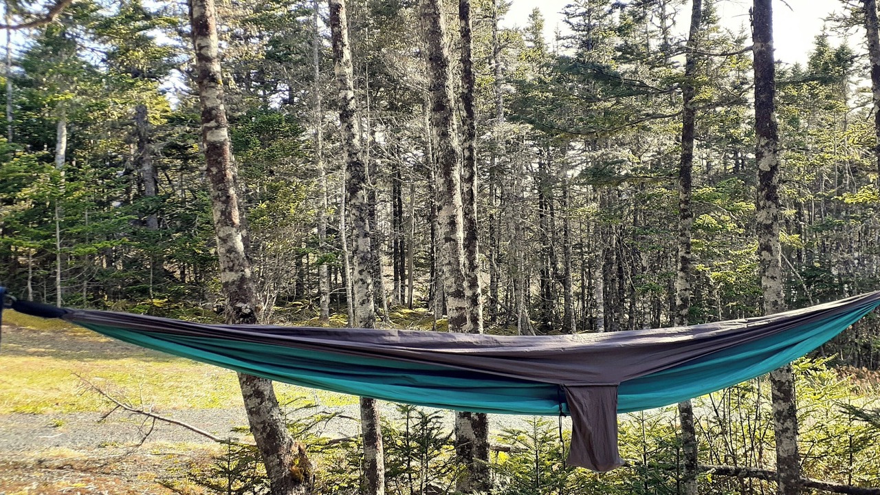 Photo of Others in Terra Nova
