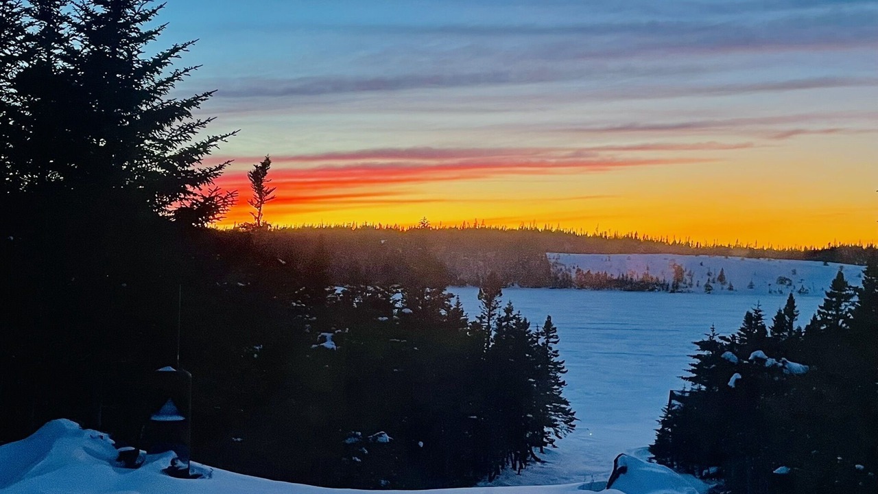 Photo of Others in Terra Nova