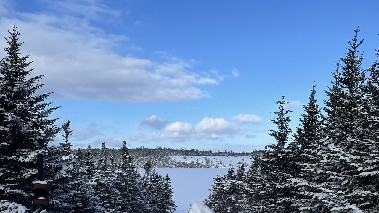 Photo of Others in Terra Nova