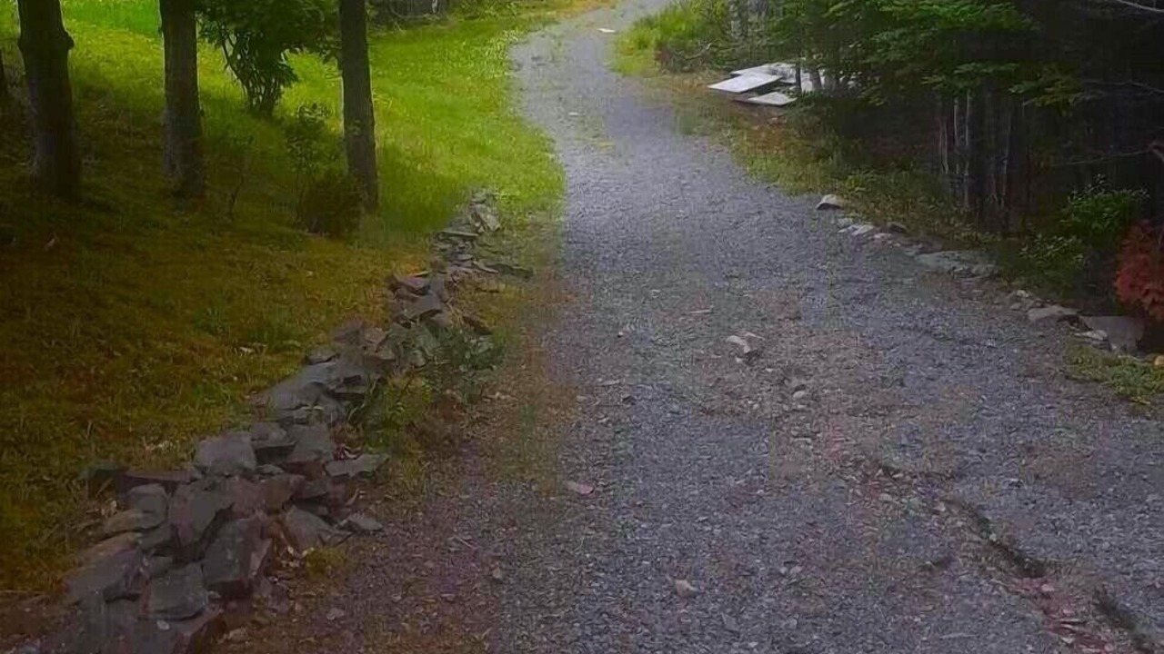 Photo of Others in Terra Nova