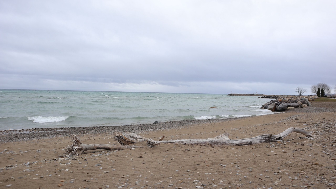 Photo of Others in Meaford