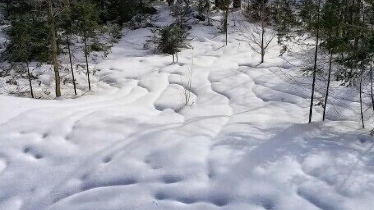 Photo of Others in Wentworth-Nord