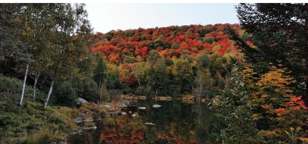 Photo of Outdoor in Wentworth-Nord