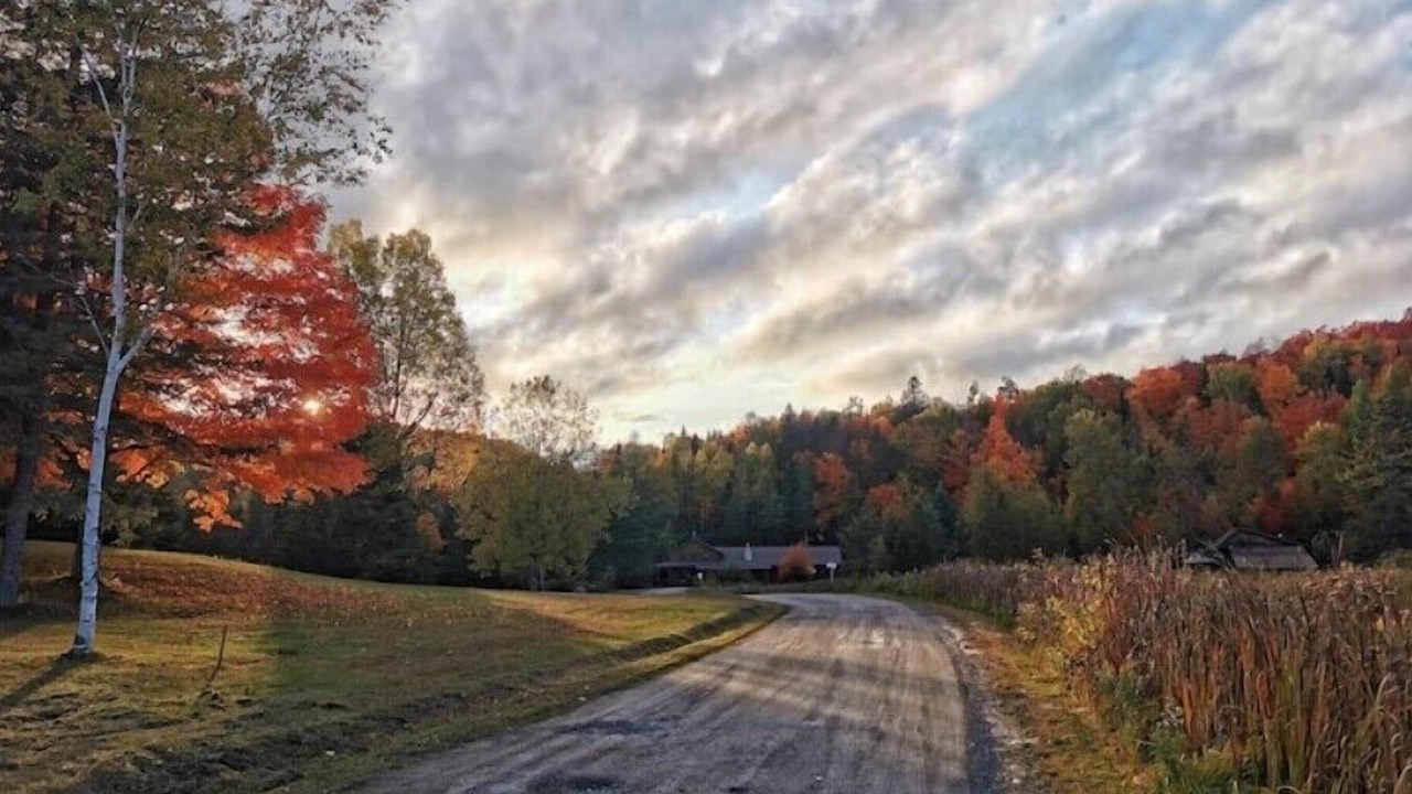 Photo of Others in Wentworth-Nord