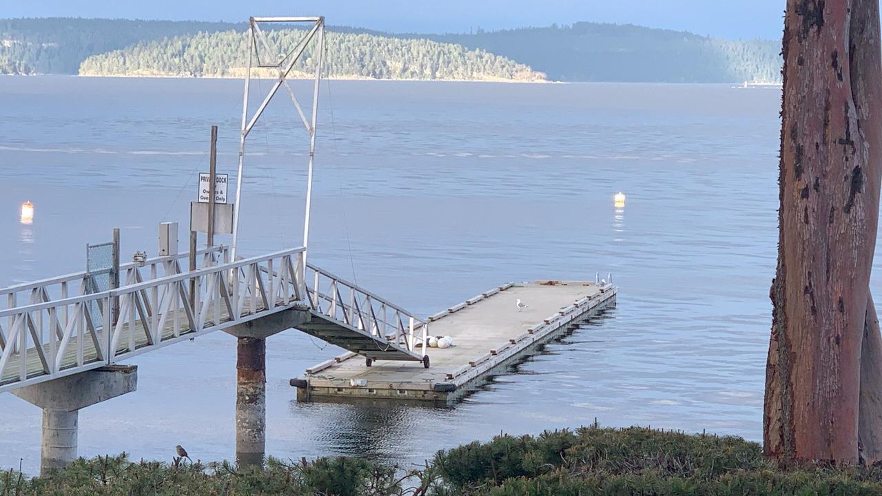 Photo of Others in Yellow Point