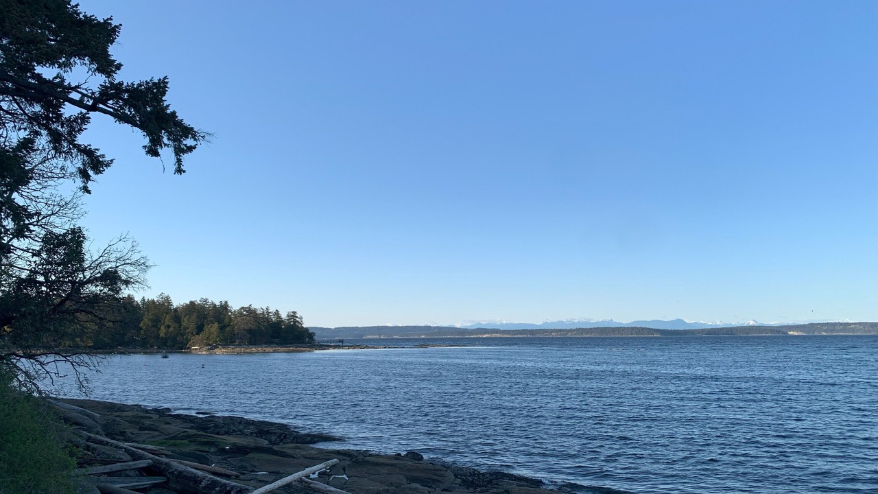 Photo of Others in Yellow Point