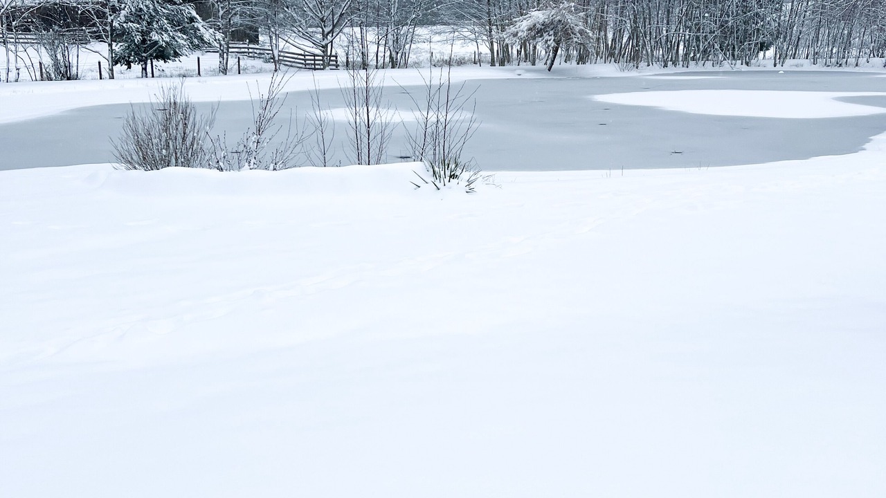 Photo of Others in Shawnigan Lake