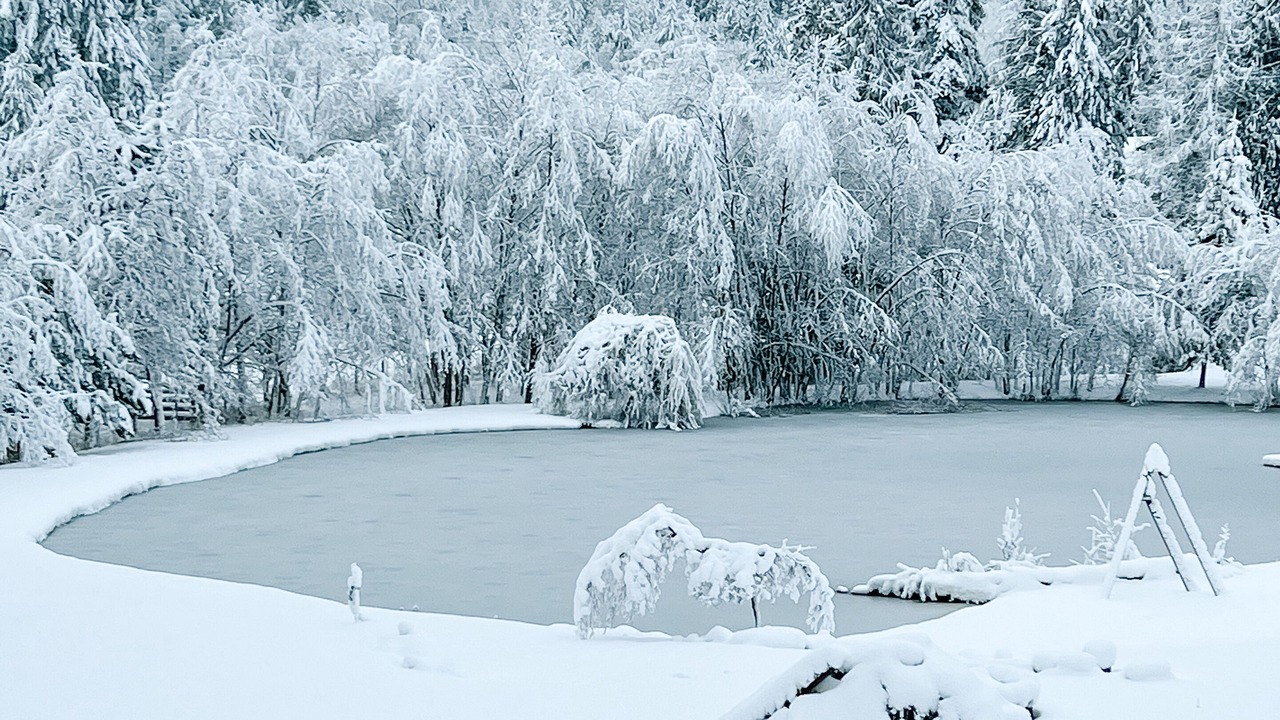 Photo of Others in Shawnigan Lake