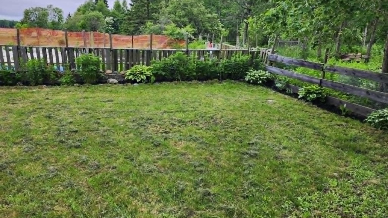 Photo of Outdoor in Maitland