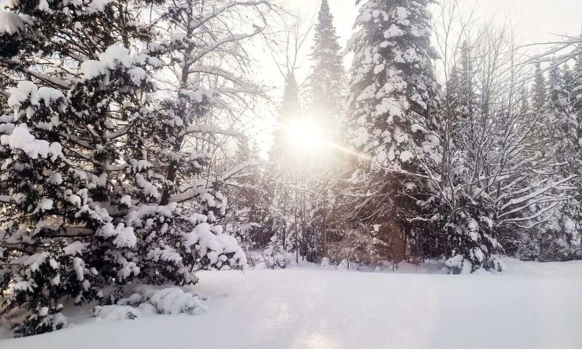 Photo of Others in Saint Donat