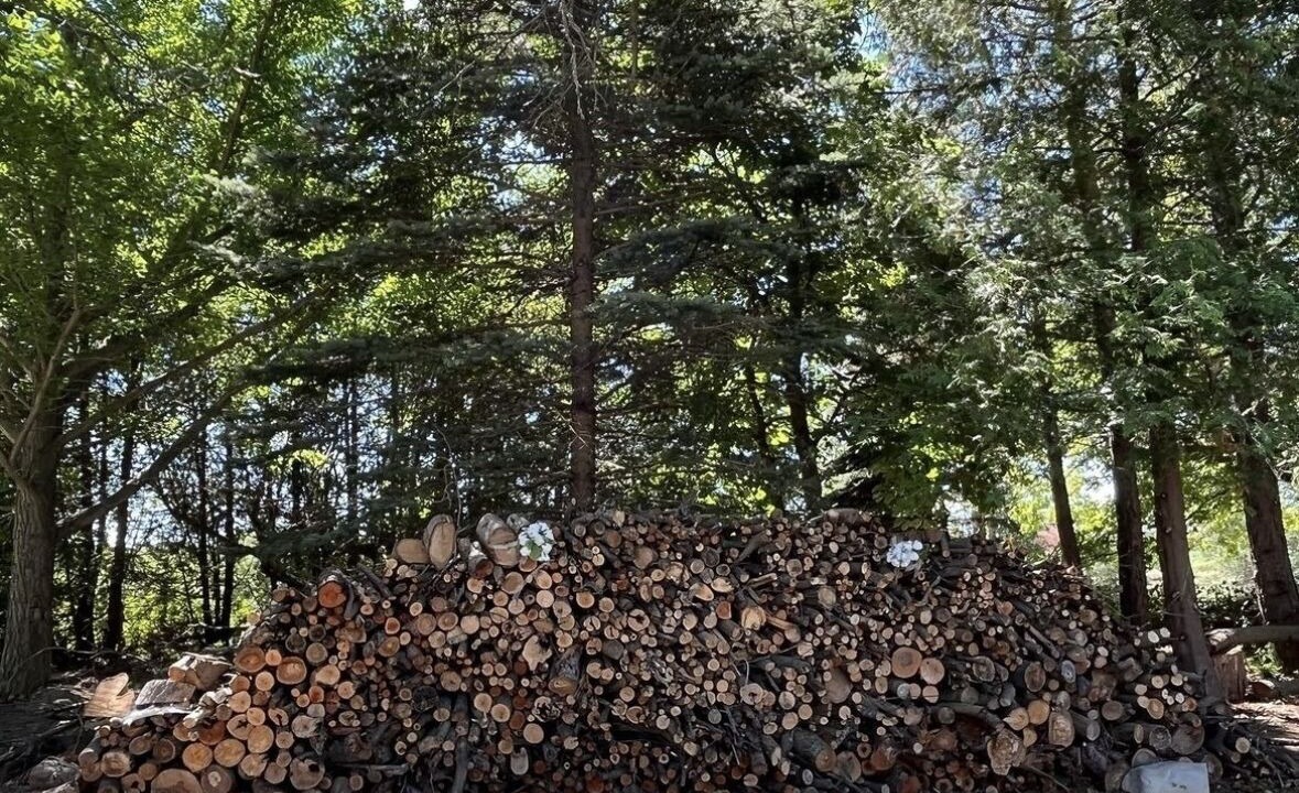 Photo of Others in Vaughan