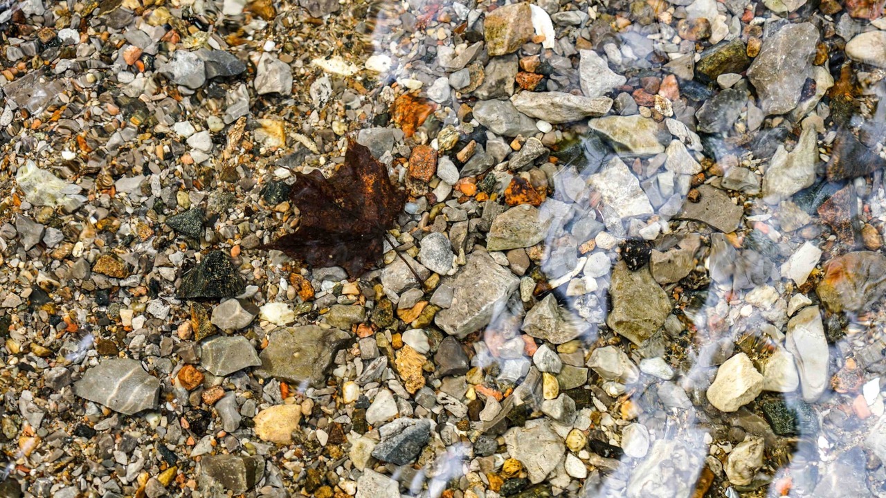 Photo of Outdoor in Greater Madawaska