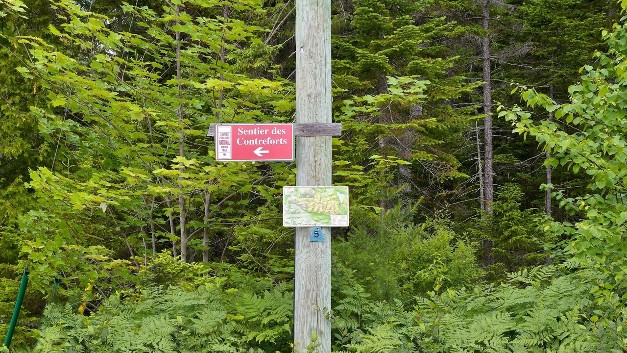 Photo of Outdoor in Saint Come