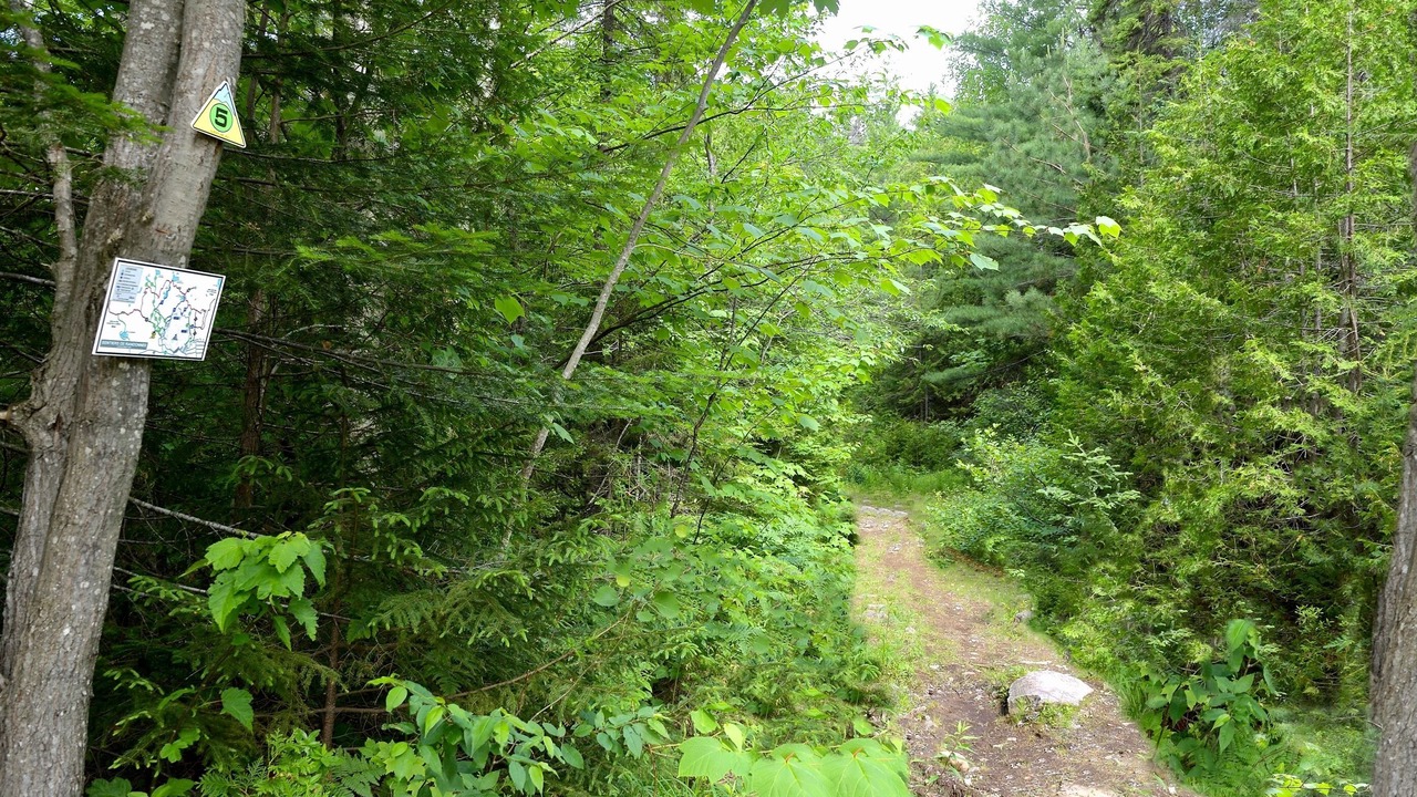 Photo of Outdoor in Saint Come