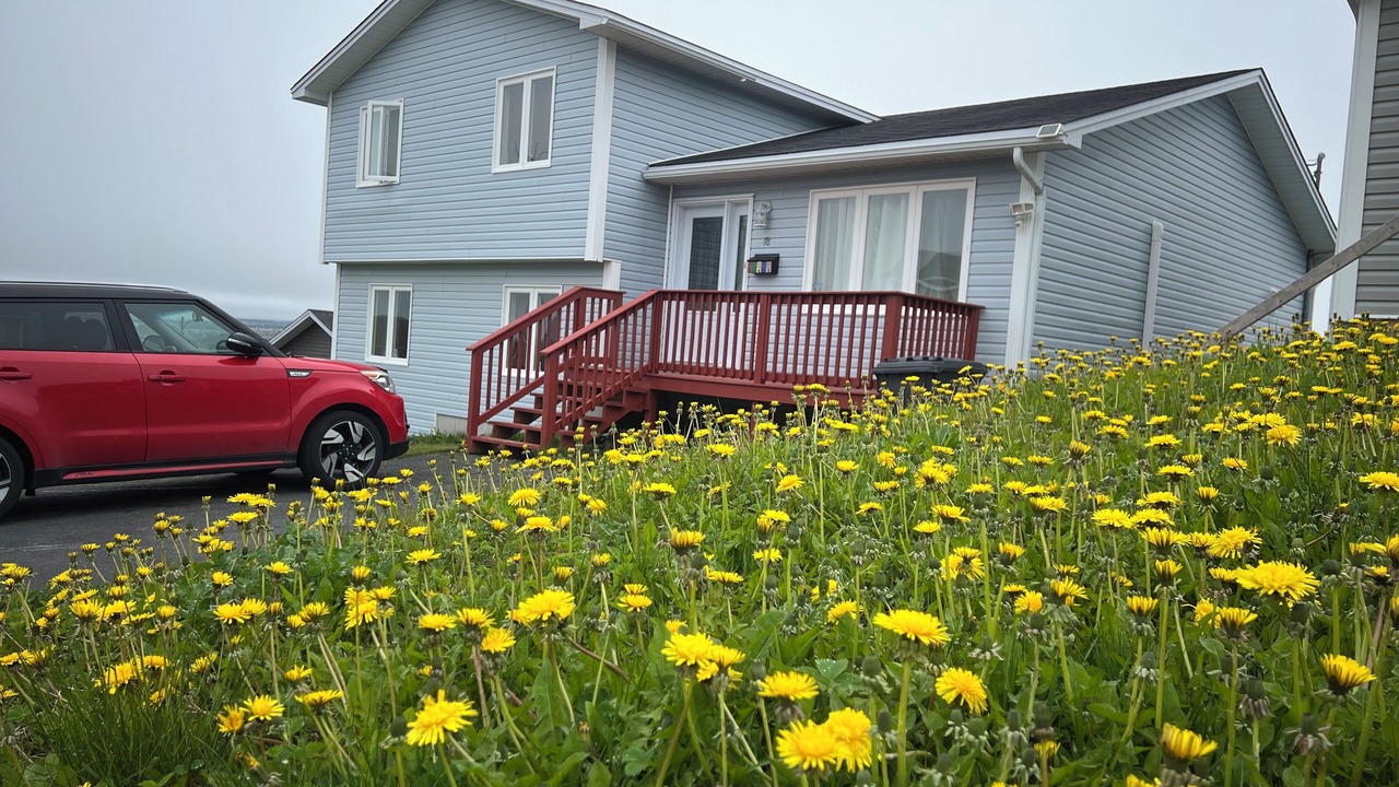 Photo of Outdoor in Mount Pearl