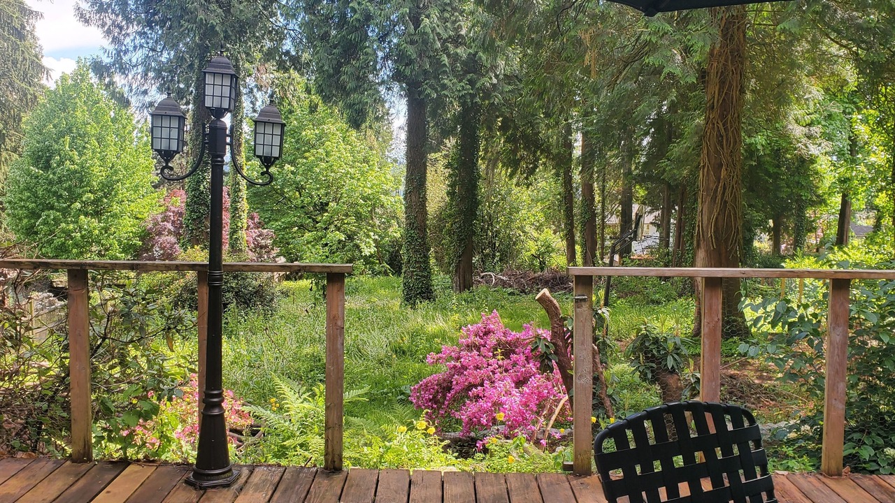 Photo of Outdoor in Hollyburn