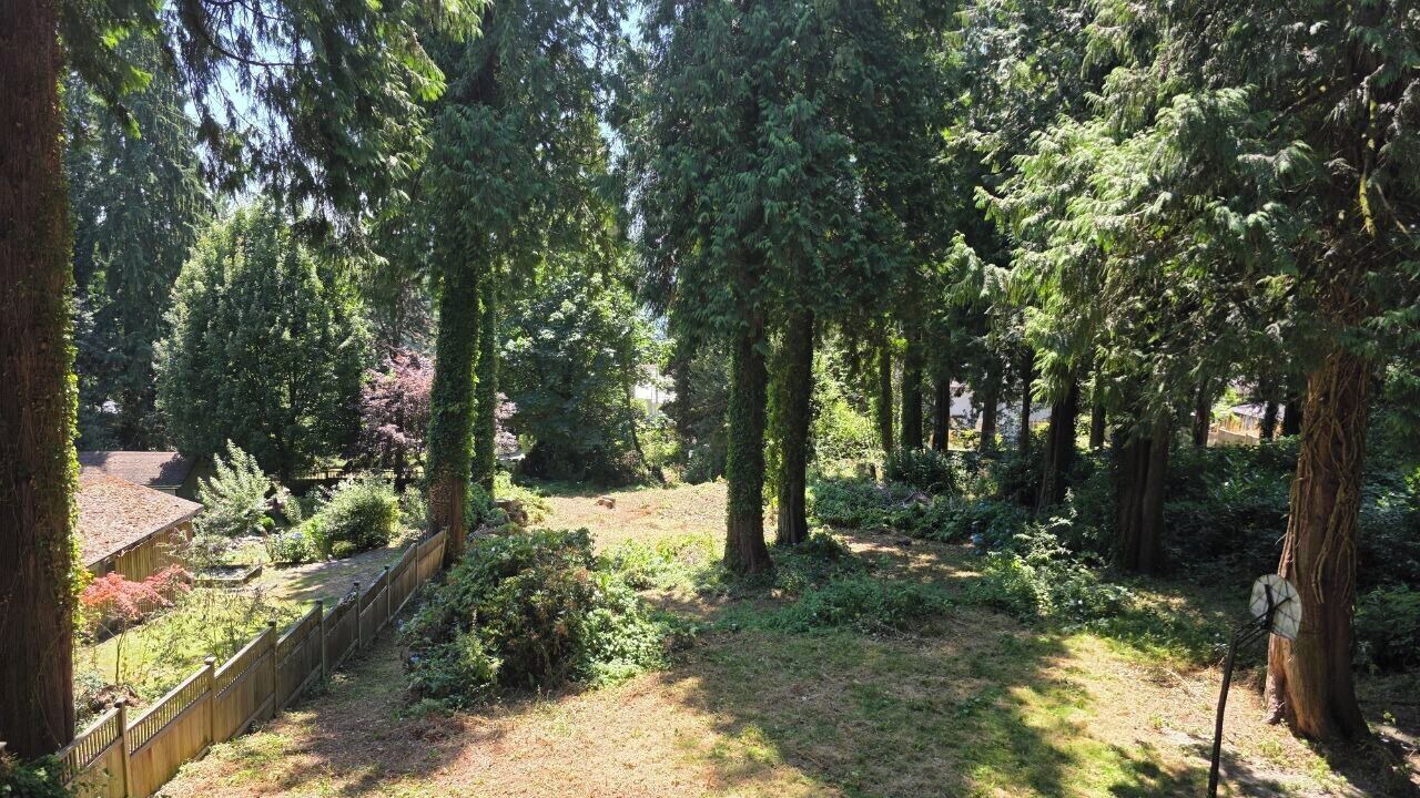 Photo of Outdoor in Hollyburn