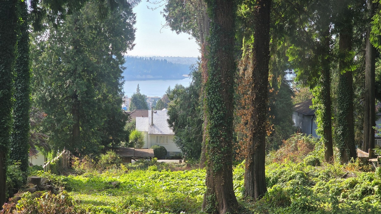 Photo of Outdoor in Hollyburn