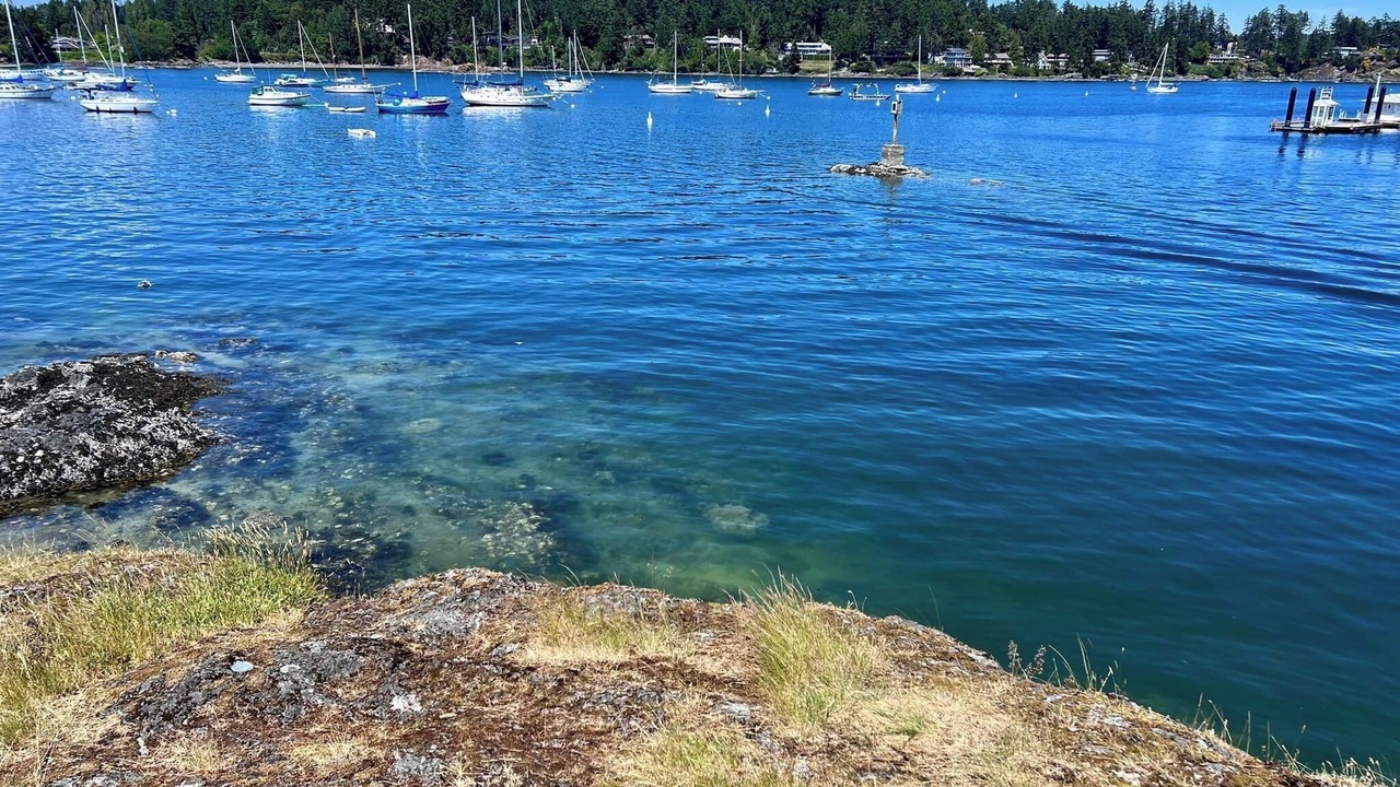 Photo of Others in Sidney