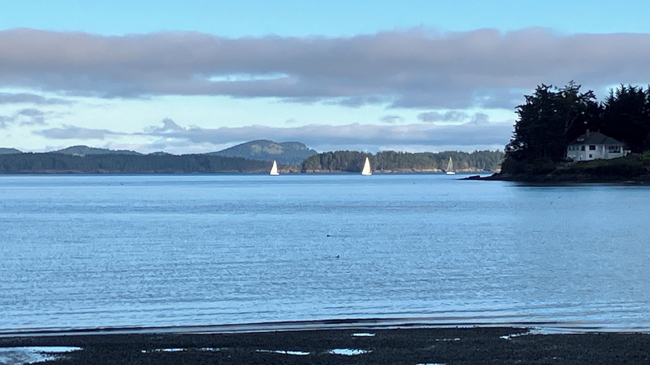 Photo of Others in Sidney