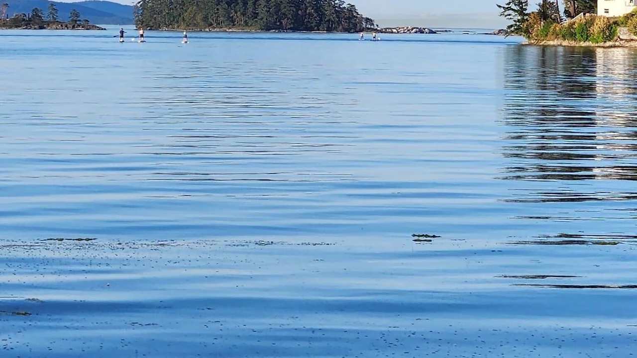 Photo of Others in Sidney