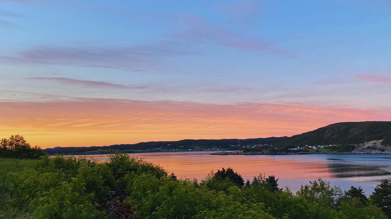 Photo of Others in Plate Cove West
