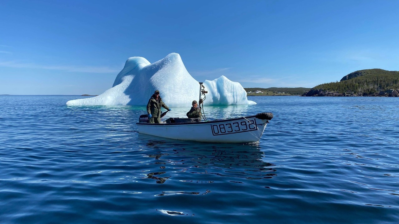 Photo of Others in Plate Cove West