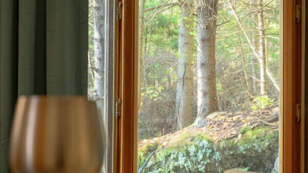 Photo of Others in Sainte-Lucie-des-Laurentides