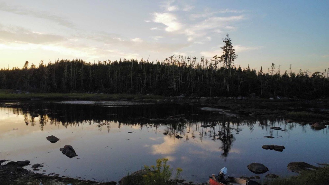Photo of Outdoor in Head of Jeddore