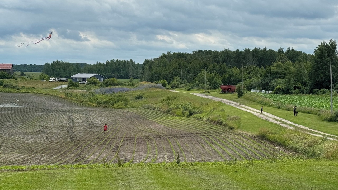 Photo of Others in Brock