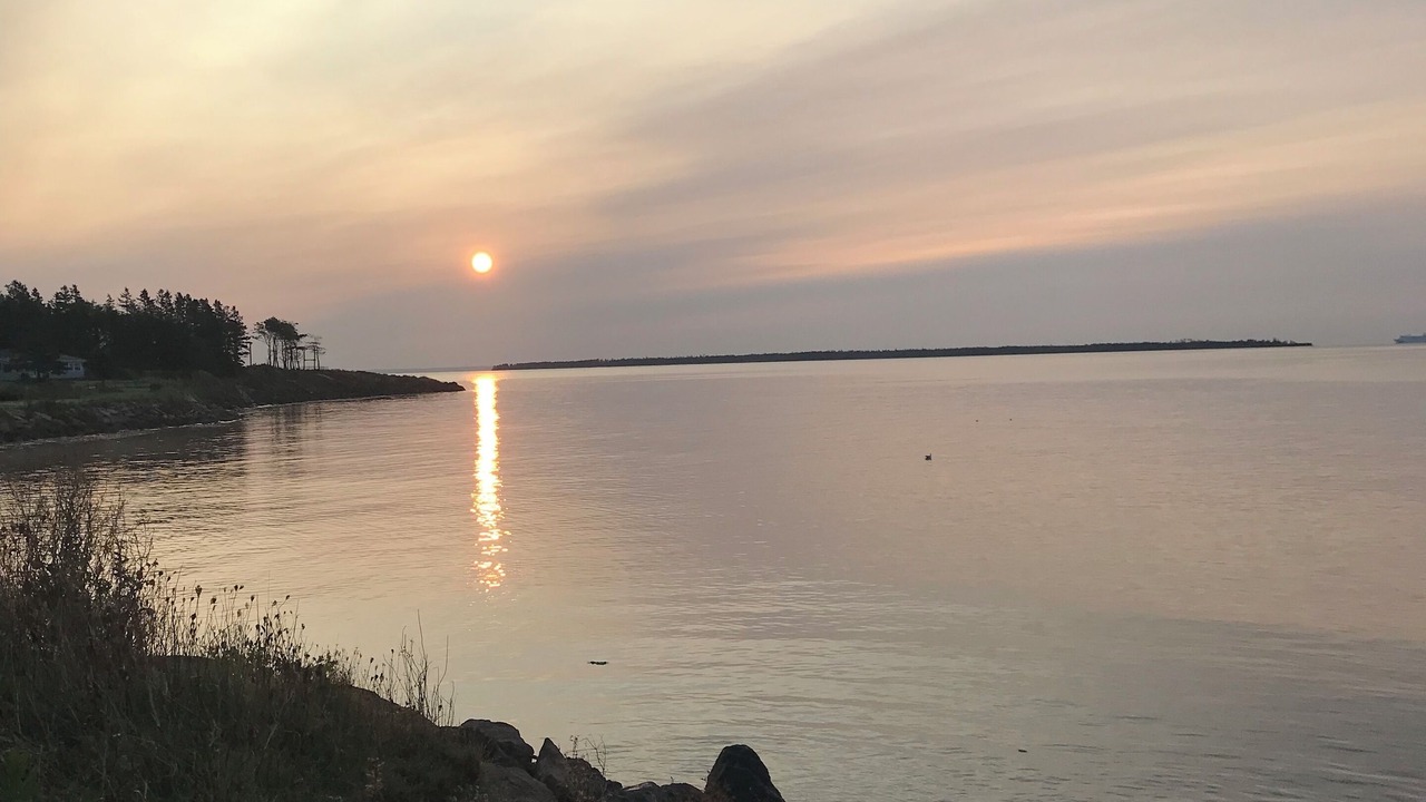 Photo of Others in Rice Point