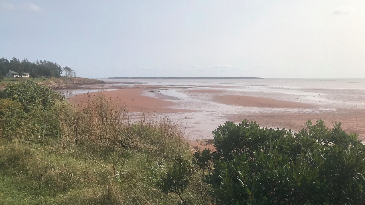 Photo of Others in Rice Point