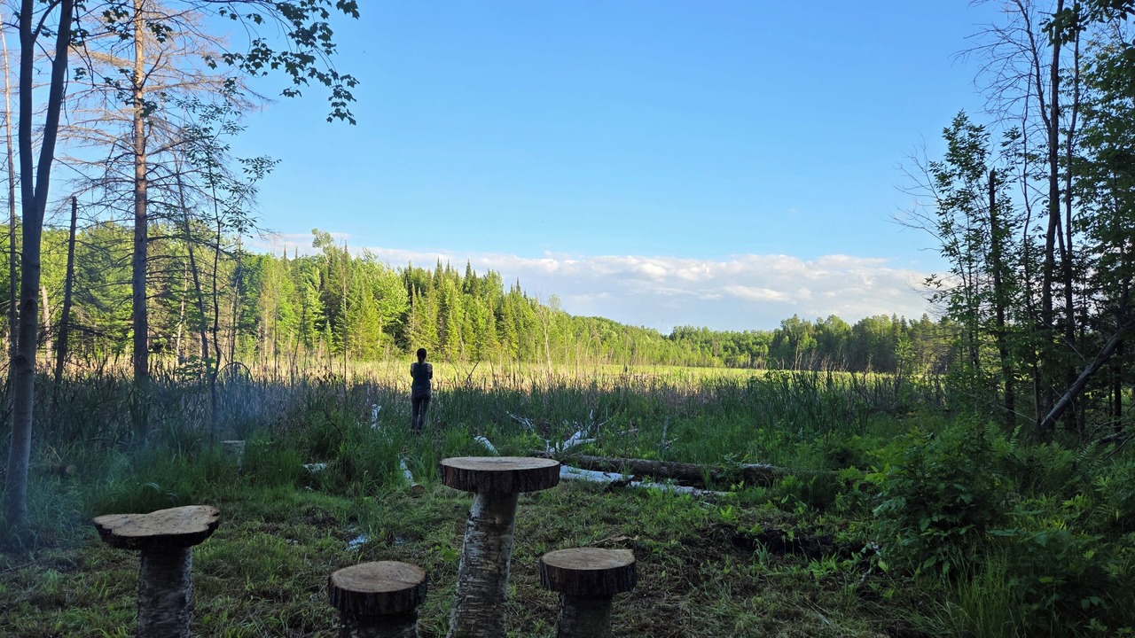 Photo of Outdoor in Golden Lake