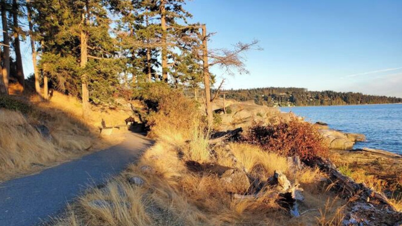 Photo of Others in Halfmoon Bay