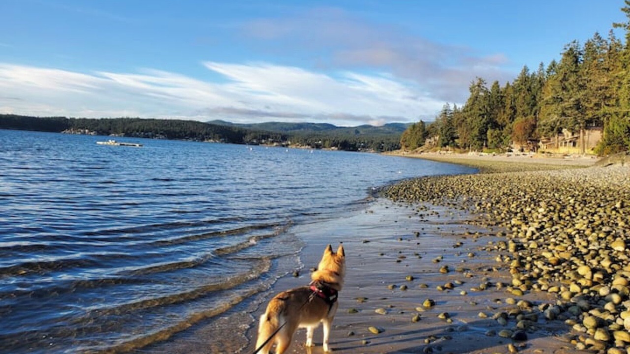 Photo of Others in Halfmoon Bay