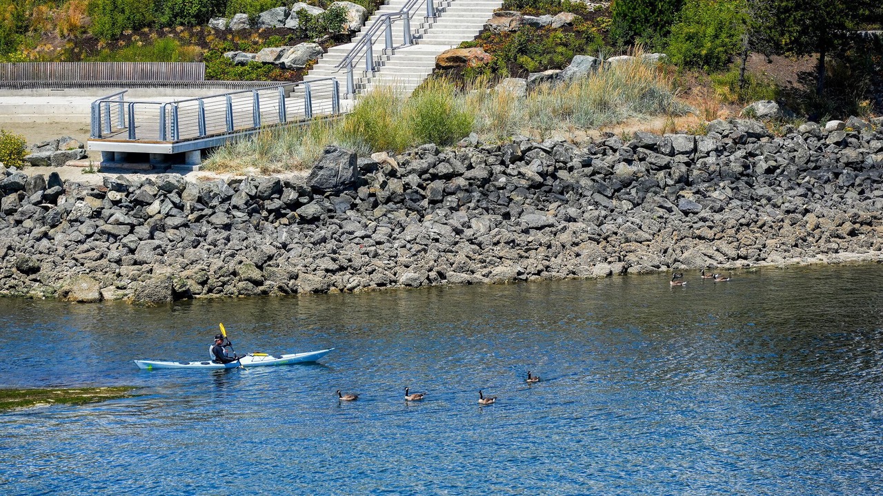 Photo of Others in Inner Harbour