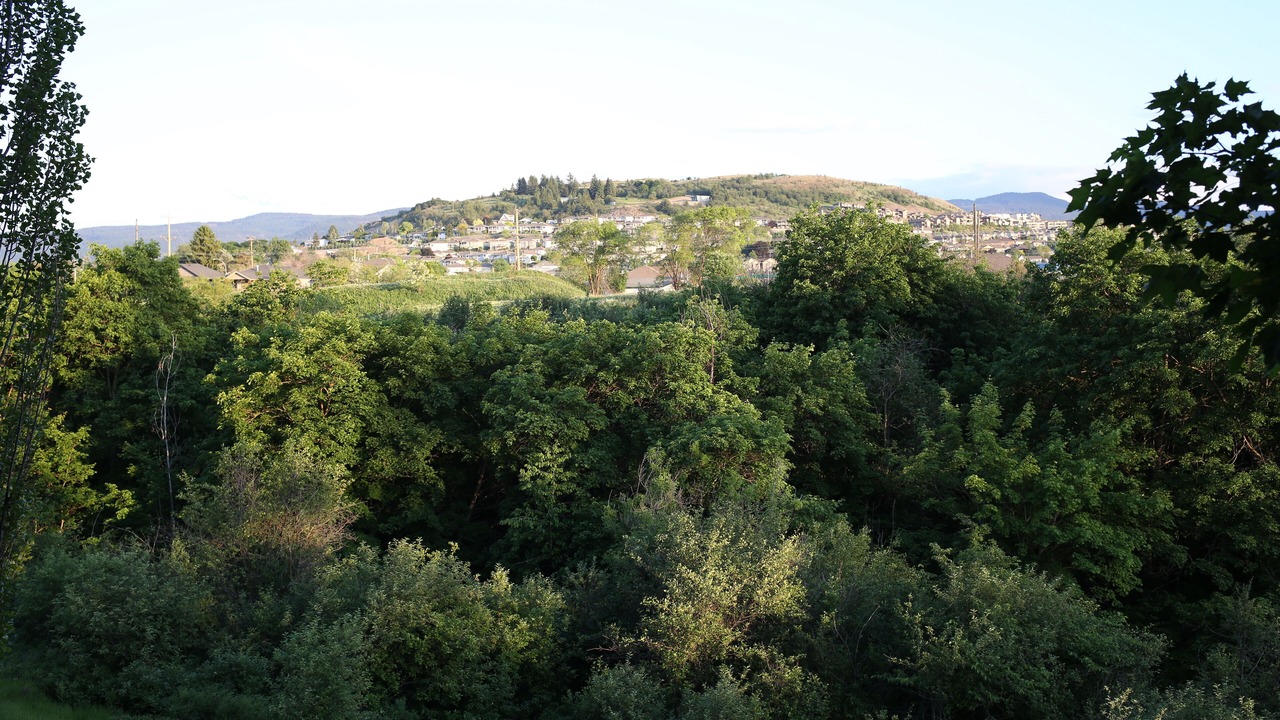 Photo of Others in East Hill