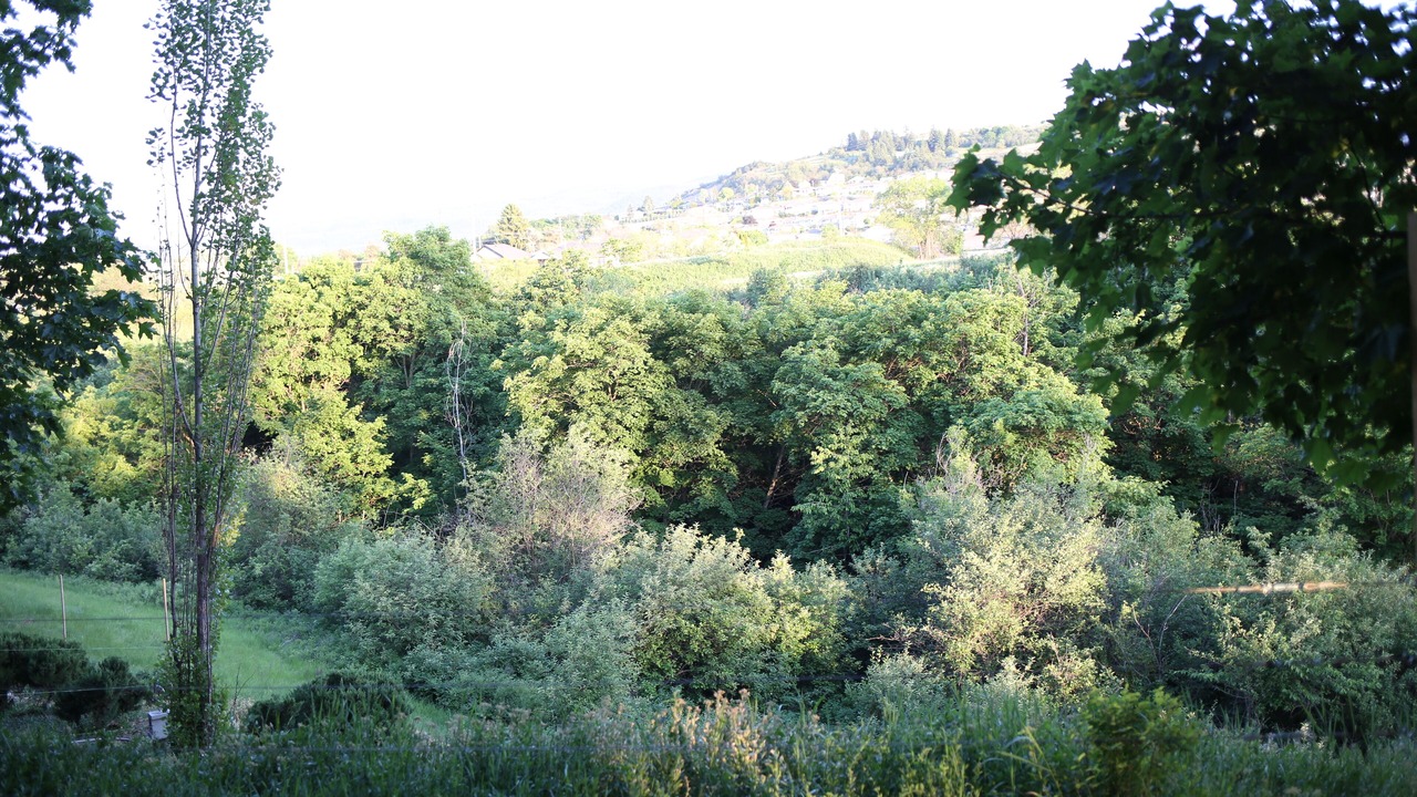 Photo of Outdoor in East Hill