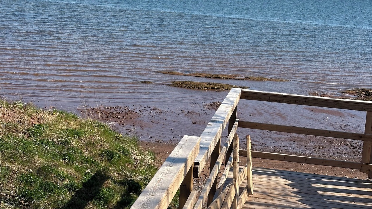 Photo of Others in Malagash