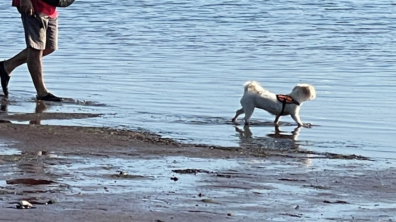 Photo of Others in Malagash