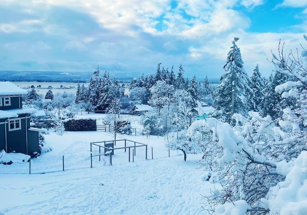 Photo of Others in Comox
