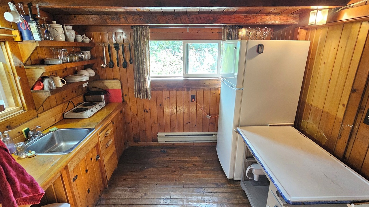 Photo of Kitchen in Kaslo