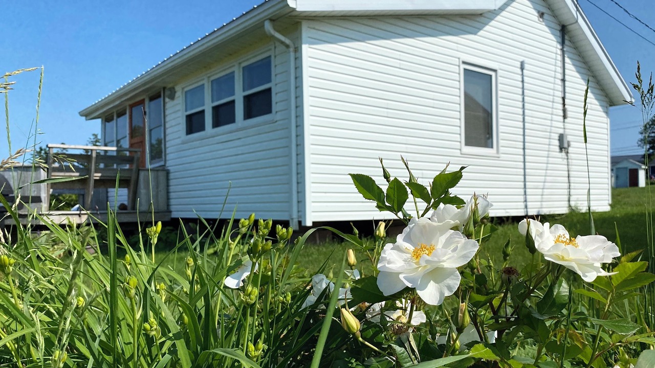 Photo of Outdoor in Saint Peters Bay