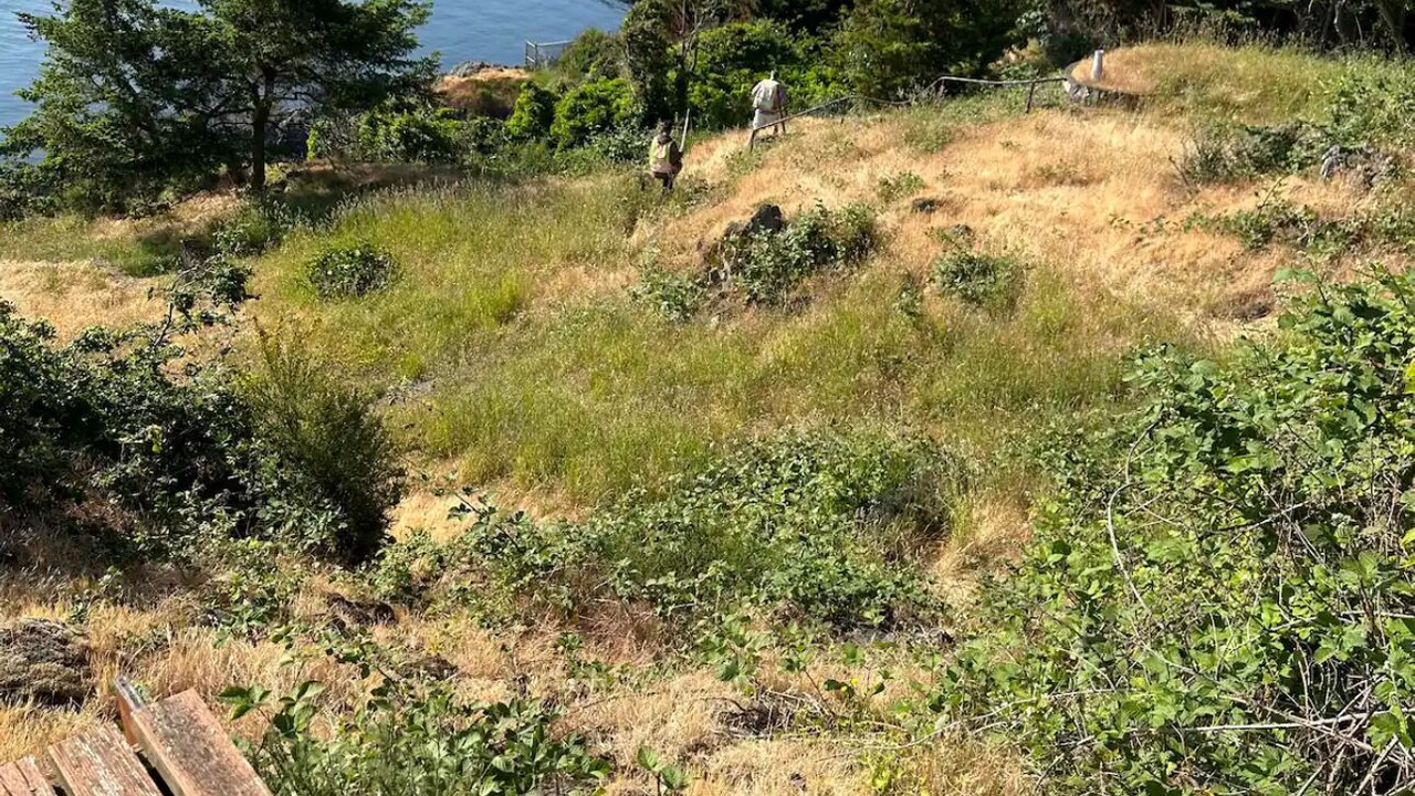 Photo of Outdoor in Gordon Head