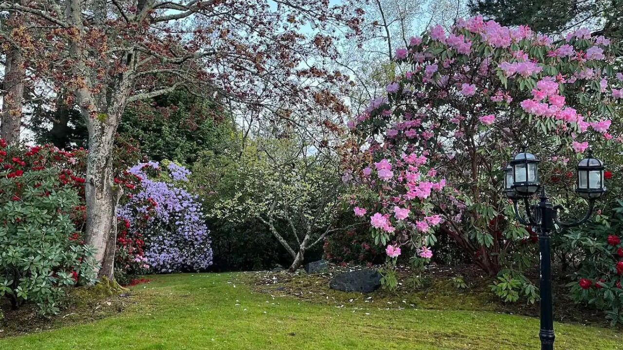 Photo of Outdoor in Gordon Head
