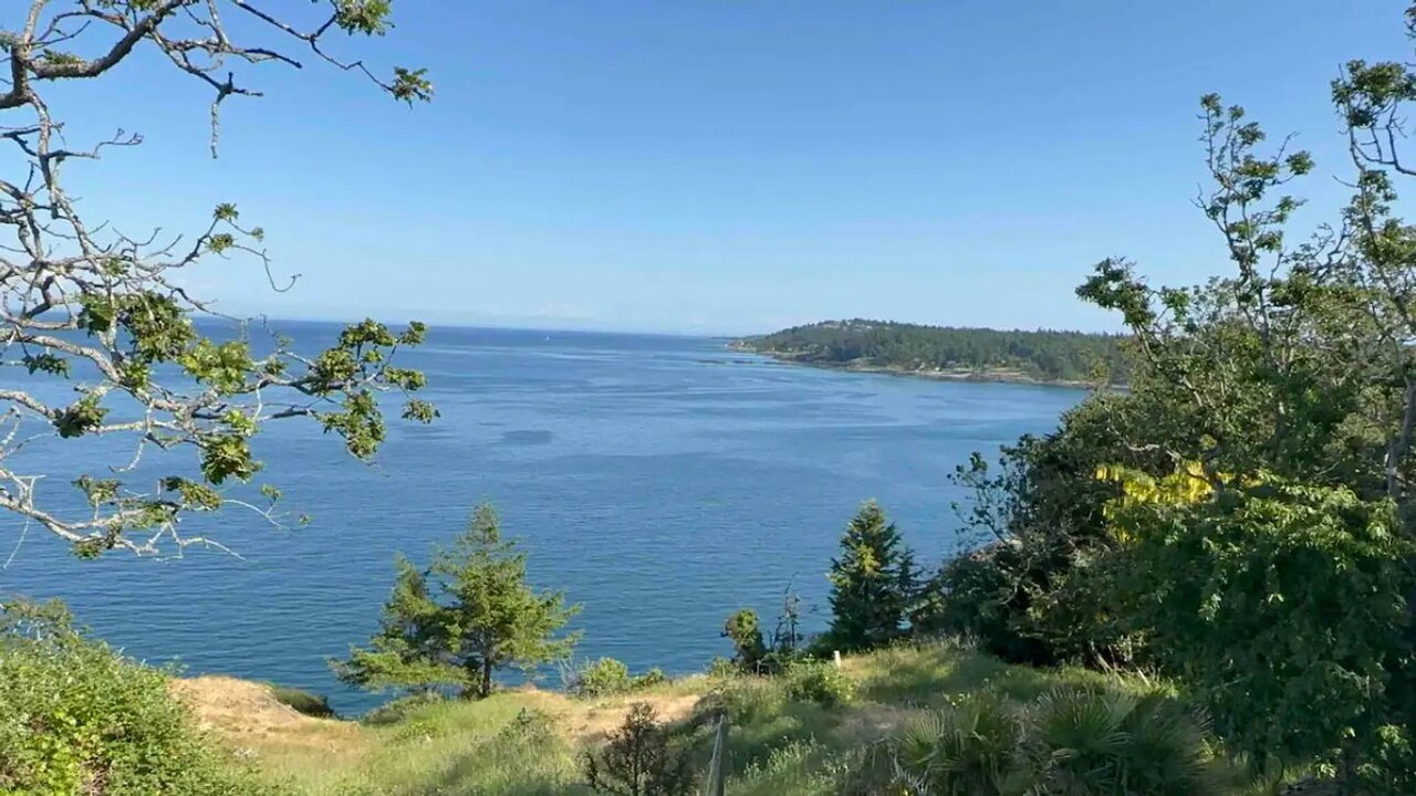 Photo of Outdoor in Gordon Head
