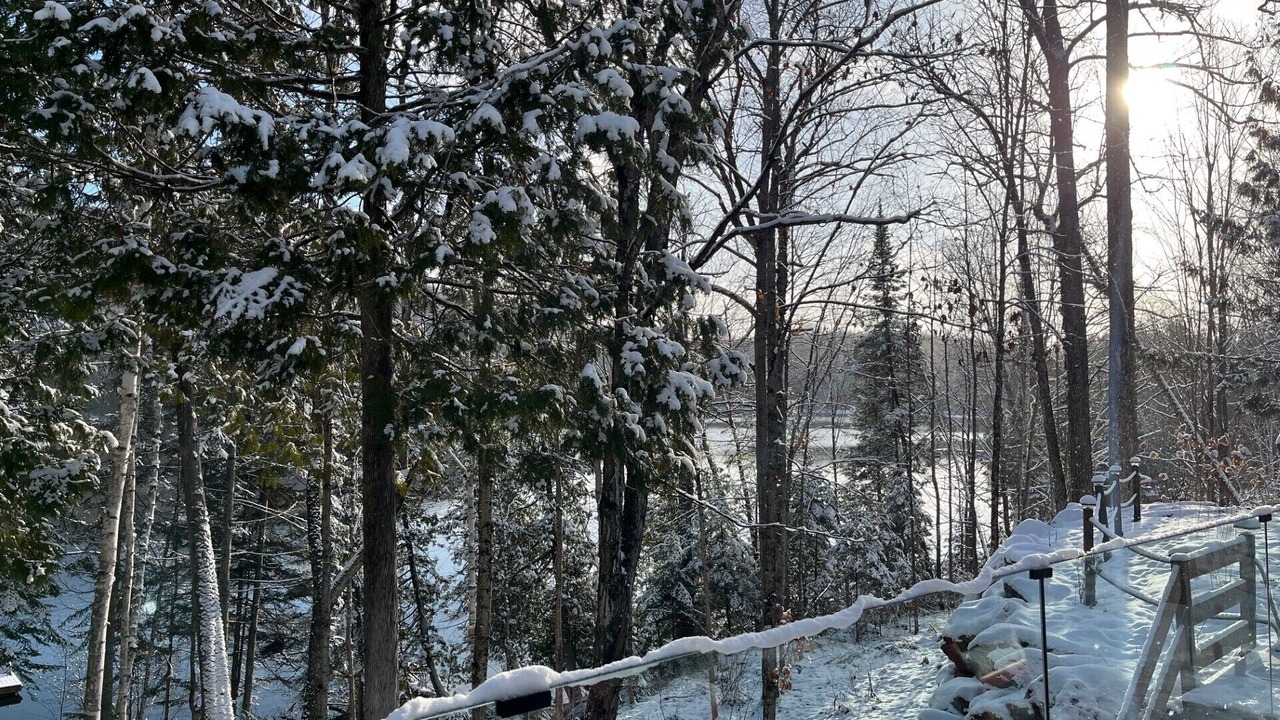 Photo of Others in Mont-Laurier