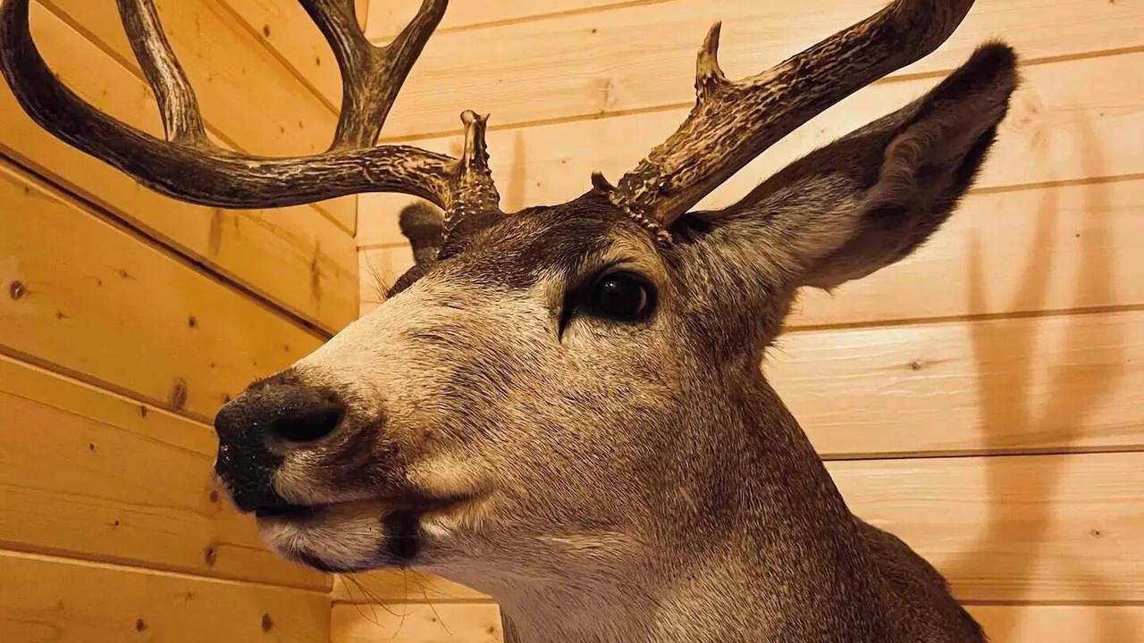 Photo of Others in Sherwood Park